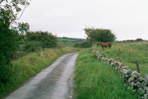 Ireland 2002 F1P0001