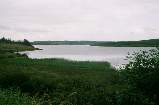 Ireland 2002 F1P0001