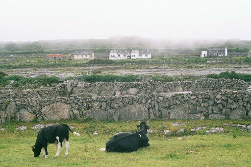 Ireland 2002 F1P0001