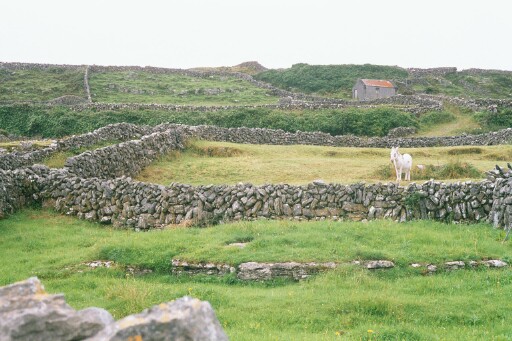 Ireland 2002 F1P0001