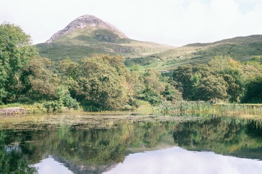 Ireland 2002 F1P0001