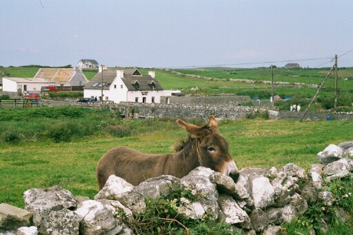 Ireland 2002 F1P0001